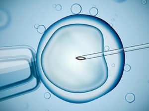 IVF Treatment-Top 10 Myths about IVF