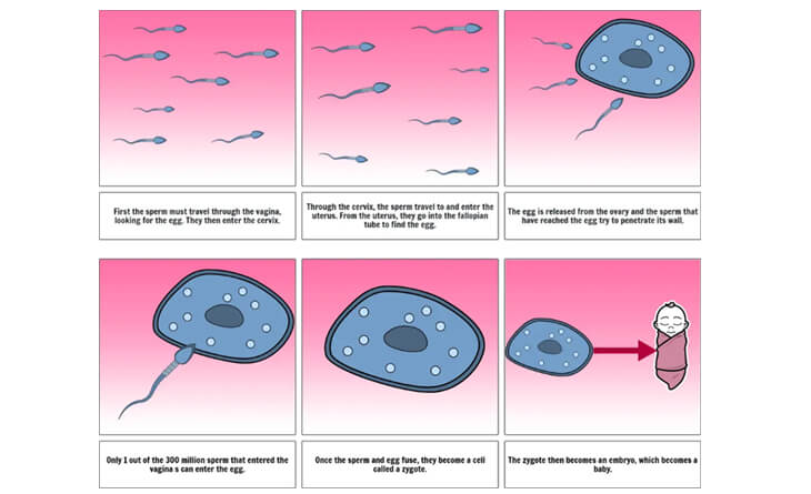 Best IVF Doctors in Delhi