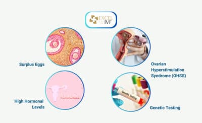 Success Rate of Frozen Embryo Transfer | Dr Rhythm Gupta