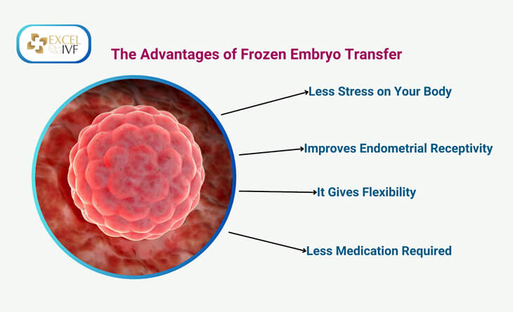 Frozen embryo transfer