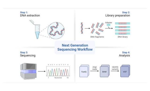 The Crucial Role Of Genetic Testing And Genetic Counseling In Ivf A Holistic Approach - hgcue5g