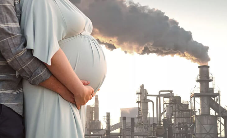 Effect of pollution on fertility