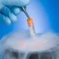 Ovarian Tissue Cryopreservation