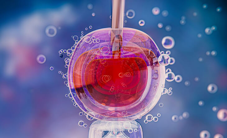 Embryo Freezing Duration