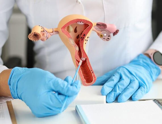 Endometrial Receptivity and IVF Success Rates -1