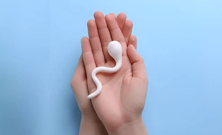 Male Infertility Doctor