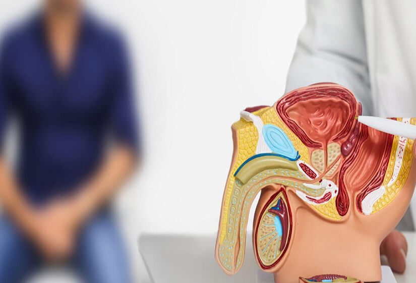 Male infertility solutions