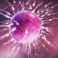 azoospermia treatment