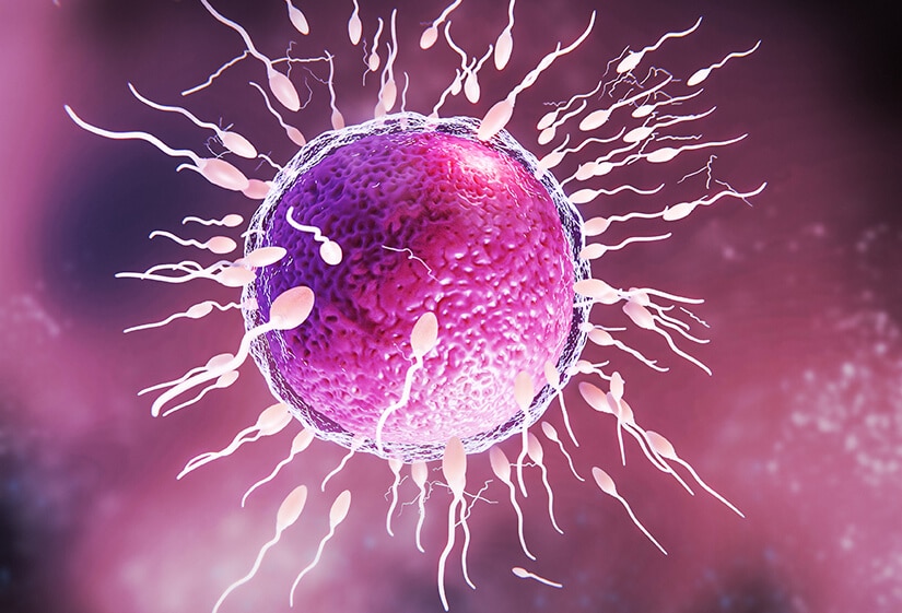azoospermia treatment