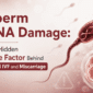 Sperm DNA fragmentation treatment - Dr Rhythm Gupta - Excel IVF