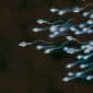 low sperm count treatment