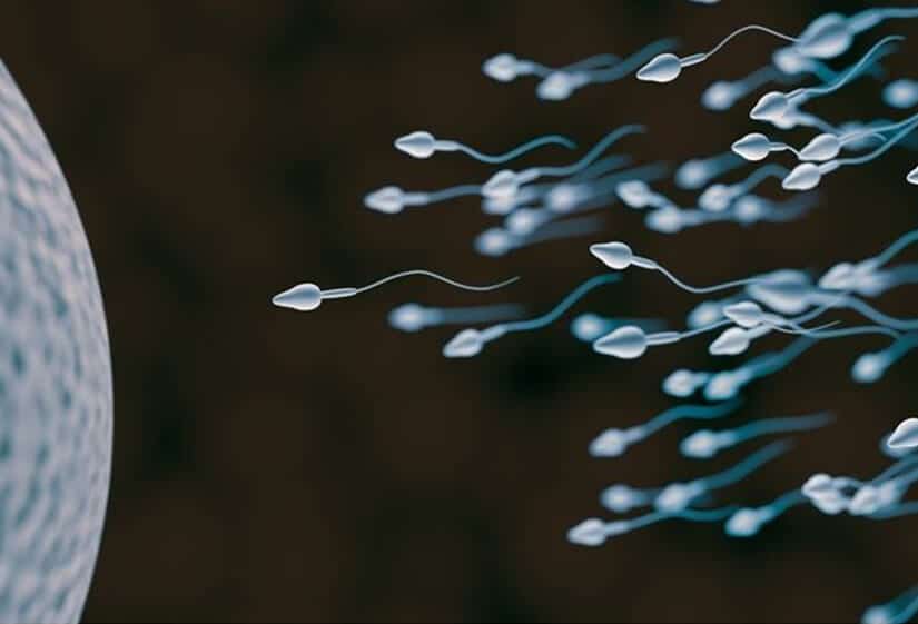 low sperm count treatment